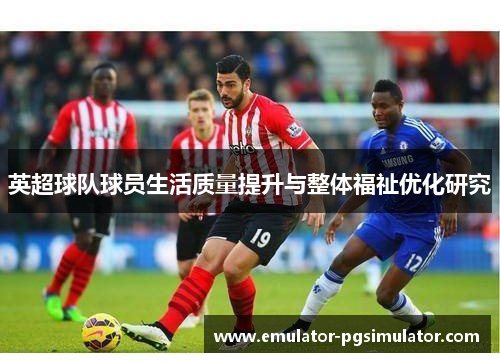 英超球队球员生活质量提升与整体福祉优化研究
