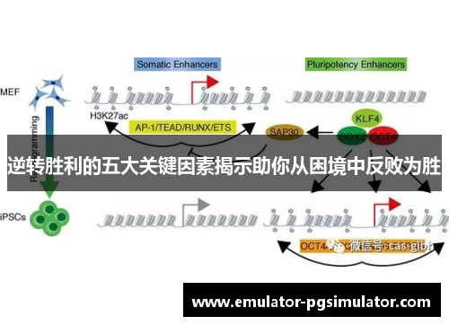 逆转胜利的五大关键因素揭示助你从困境中反败为胜