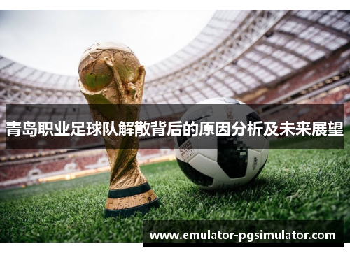 青岛职业足球队解散背后的原因分析及未来展望