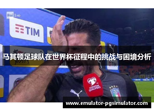 马其顿足球队在世界杯征程中的挑战与困境分析