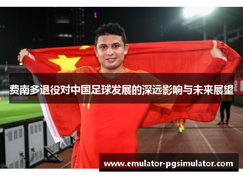 费南多退役对中国足球发展的深远影响与未来展望