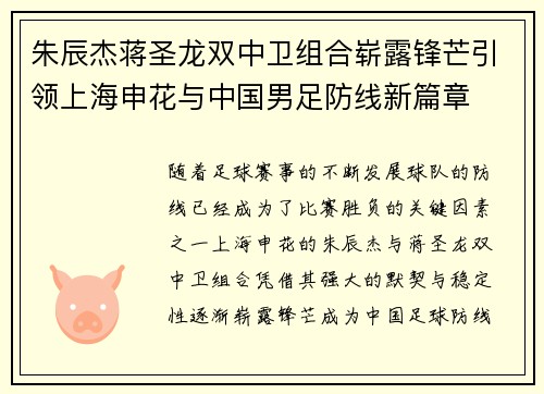 朱辰杰蒋圣龙双中卫组合崭露锋芒引领上海申花与中国男足防线新篇章